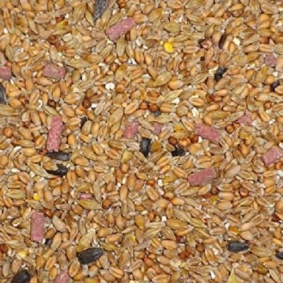 Image of Wild Bird Original Seed Mix 12.75kg