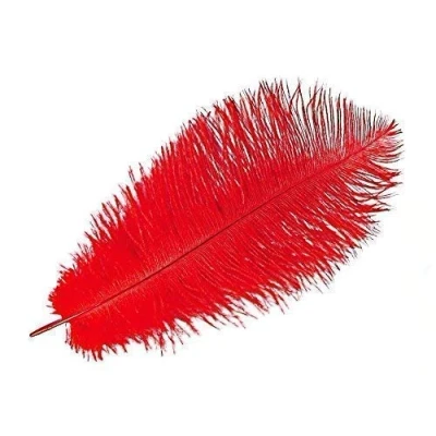 Image of 5 x 9 12&quot; Red Ostrich Feathers