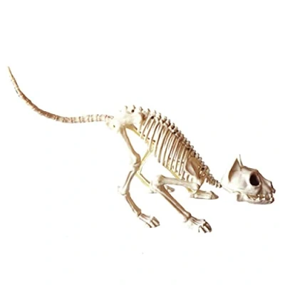 Image of Liummrcy Halloween bones Ornament cat skeleton scary Model Creepy Animal Skull Decoration for ornament,