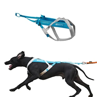 Image of Non stop dogwear Freemotion Harness 5.0 Dog Pulling for Sports like Running, Biking and Skiing with Dogs, Professional Adjustable Harness, Blue/Gray, Size 7