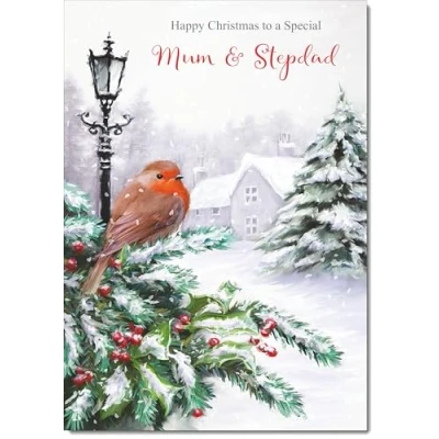 Image of doodlecards Mum and Stepdad Christmas Card Robin by Lamp Medium Size for &amp; with Plain Envelope