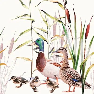 Image of 20 Napkins Wild Ducks with Chicks Animals Pond Lake Nature Table Decoration Decoupage 33 x 3