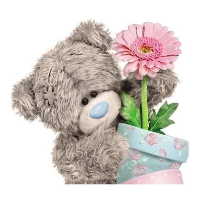 Image of Me to You Tatty Teddy 3D Holographic Card Bear with Flower Pot
