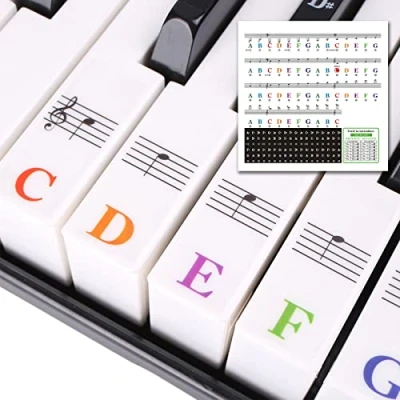 Image of Piano Keyboard Stickers 88/61/54/49/37 Keys, Removable Key Note Labels Sticker for Beginners Colorful