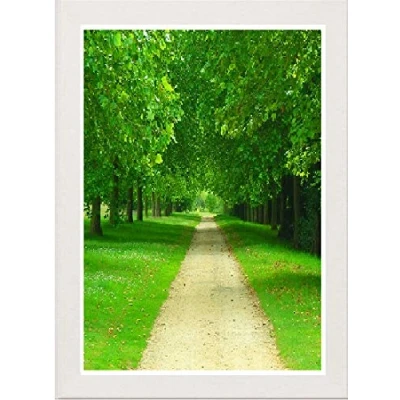 Image of White Photo Frames Picture Poster Real Wood Glass Modern Frame 500mm x 400mm