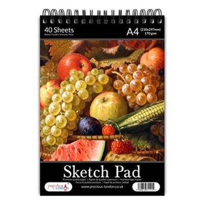 Image of Artists Sketch Pad A4 Size Premium Quality Cartridge Paper Spiral Bound Artist Drawing Books 170gsm Durable Acid Free (Fruits)