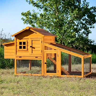 Image of Feel Good Windsor Chicken Coop with Nesting Box and Outdoor Run includes Solid Wooden Roof Galvanised Removable Tray Secure Lockable Door Perches Ventilation