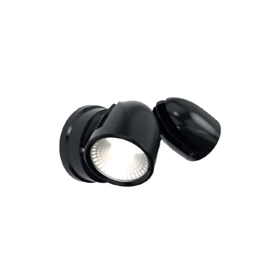 Image of Ansell Zeker IP65 CCT Security Light Black