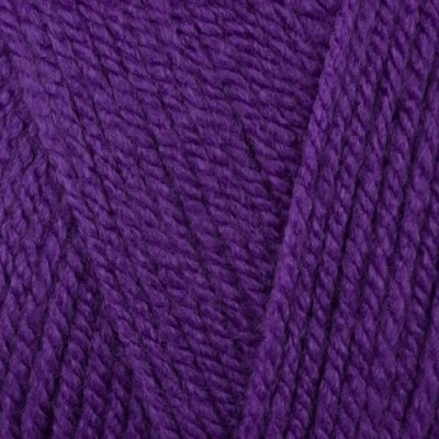 Image of Stylecraft 9061855 Special Chunky Proper Purple (1855) Yarn 100g