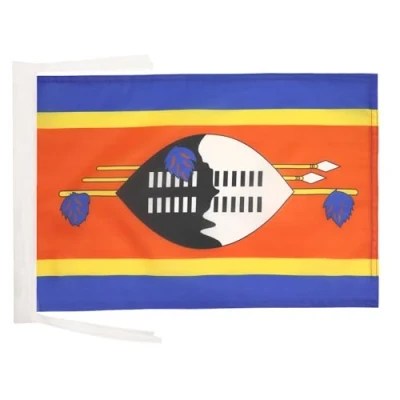 Image of Swaziland FLAG 18&#039;&#039; x 12&#039;&#039; cords Swazi SMALL flags 30 45cm Banner 18x12 in AZ