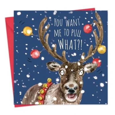 Image of Twizler Funny Christmas Card Reindeer Sleigh Merry Cards Xmas Mens for Him Husband Dad Son Womens Her Wife Mum Daughter