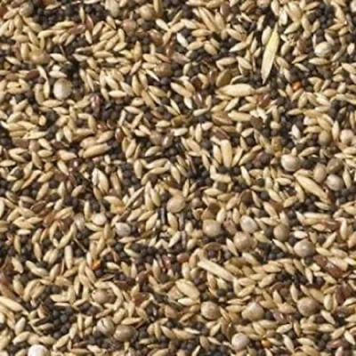 Image of Johnston &amp; Jeff British Finch Bird Seed, 20 kg
