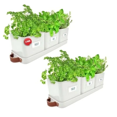 Image of Green Thumbz Herb Pots for Kitchen Windowsill 2 Pack Warm Stone Planter Indoor with Leather Handled Tray Ideal an Garden, Plants and Flowers Labels Included