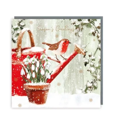 Image of the Rainbow Trust Charity Christmas Cards Pack of 5 Robin and Snowdrops Artistic Festive Design Special Finish Made in UK Eco Friendly