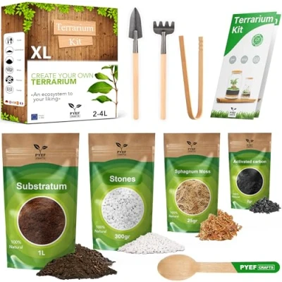 Image of DIY Plants Terrarium Kit Set Ecosystem Closed for Garden in Bottle (3 5L) Eternal Indoor Forest Creation Without Plant, Jar (XL)