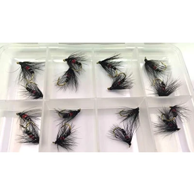 Image of BestCity FLY Fishing Bibio Selection 16 Wet Flies with FREE BOX sizes 10 16#315