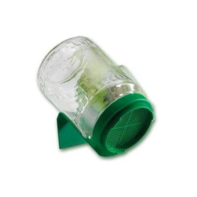 Image of A. Vogel Germination Glass (Pack of 1)