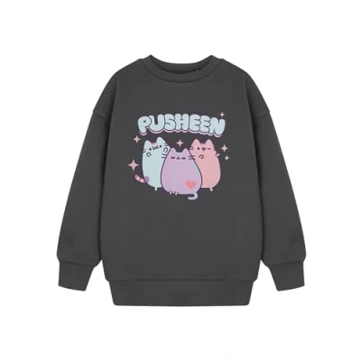 Image of Pusheen Pastel Girls Grey Sweatshirt Cute Kawaii Cat Graphic Jumper Long Sleeve Pullover for Kids &amp; Teens Cosy Casual Merchandise Loving