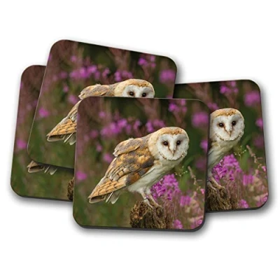 Image of 4 Set Pretty Barn Owl Coaster Bird Prey British Wildlife Flowers #15813