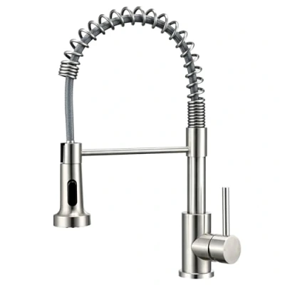 Image of Kitchen Taps with Pull Out Spray Peppermint Spring Brushed Nickel Sink Tap Down Sprayer Commercial Mixer Steel