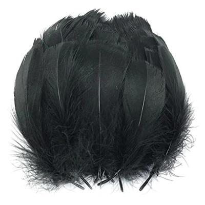 Image of JINLL Natural Goose Feathers Clothing Accessories Pack of 100,Black