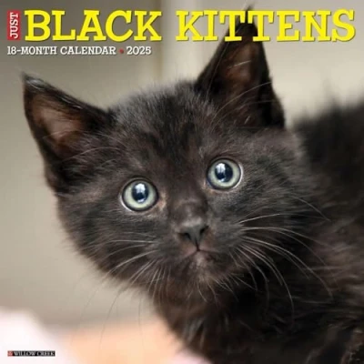 Image of Black Kittens 2025 Wall