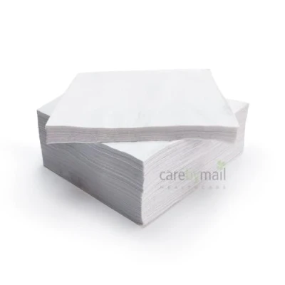 Image of Paper Napkins 33cm x 2 Ply Disposable Napkins/Serviettes 100 Pack CarebyMail (White)