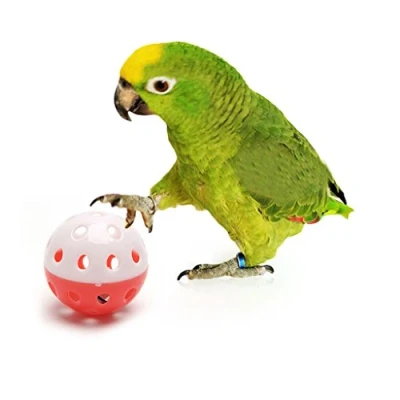 Image of Haven shop 6 Pcs Pet Parrot Toy Ball, Macaw African Grey Cockatoo, Bird Hollow Bell Ball For Parakeet Cockatiel Chew Fun Cage
