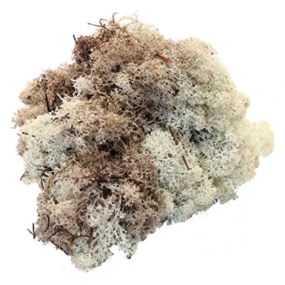 Image of Natural Reindeer Moss (500g)
