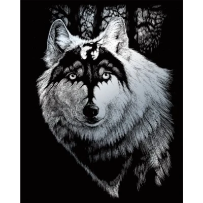 Image of Royal &amp; Langnickel 8 x 10 inch Dragon Wolf Pre Printed Foil Set Silver