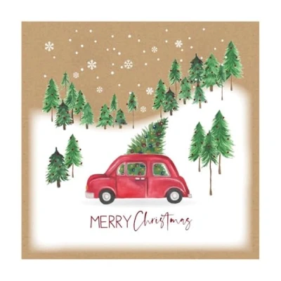 Image of Eurowrap Assorted Christmas Cards Xmas Driving Home, 2 Designs Merry and Seasons Greetings Eco Pack of 12