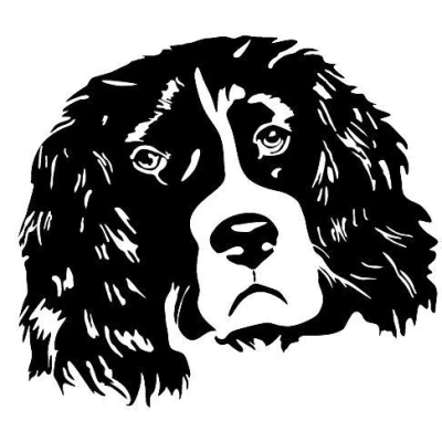 Image of LightningSigns Springer Spaniel Dog Car, Window Sticker Graphic Decal