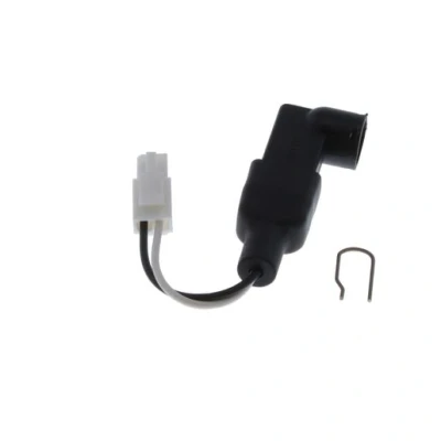 Image of Glow worm Microswitch and 2 Cables S801199