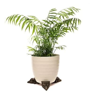 Image of Potty Feet Decorative Dragon Themed Plant Pot Bronze Color Set of 3