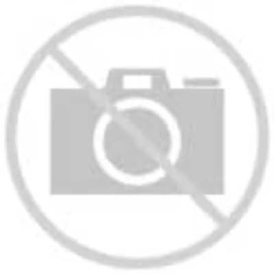 Image of 3229003100, 3229213100, 3229223100, 3229243100, SAF2923V Boot, air suspension FEBI BILSTEIN 20523