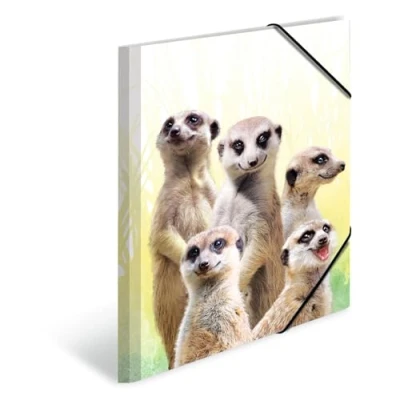 Image of HERMA Portfolio Folder A3 Meerkat, Children&#039;s Corner Made of Plastic with Animal Motif, Elastic Band, Inner Flaps and Print for Boys Girls