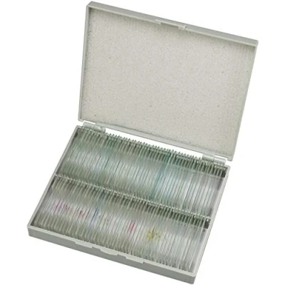 Image of Bresser Prepared Slides with Wooden Box (Pack of 100 Pieces)