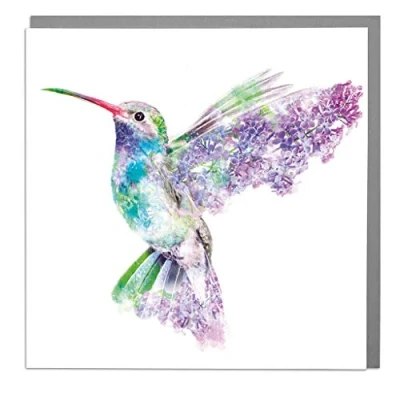 Image of Lola Design Wildlife Botanical Greeting Cards, Hummingbird Suitable for Birthdays, Congratulations or Any Special Occasions Blank Inside with Grey Envelope 150mm x