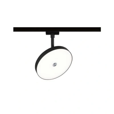 Image of Paulmann URail Hildor LED spot black 4,000 K