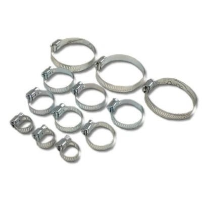 Image of Toolzone 12 Piece Assorted Hose Clips Carded