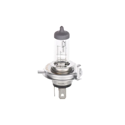 Image of 12V6055WH4LONGLIFEDAYTIME, Blister1pcs1987301054 Light Bulbs BOSCH 1 987 302 048 H4 12V 60/55W P43t Halogen VOLKSWAGEN: Polo V Hatchback
