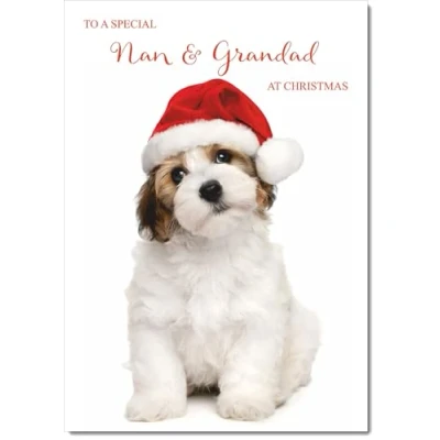 Image of doodlecards Nan and Grandad Christmas Card Dog Santa Hat Medium Size for &amp; with Plain Envelope