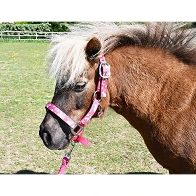 Image of Rhinegold Unicorn Headcollar and Rope Set Pony Raspberry