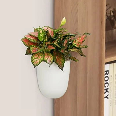 Image of 2 Pack Corner Wall Mounted Hanging Planter Self Watering Triangle Plastic Flower Pot Decorative Modern Plant Vase Container Holder for Succulent Indoor Outdoor Home Office Décor African Violet White