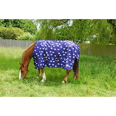 Image of Rhinegold Star Torrent Outdoor Rug Lightweight No fill