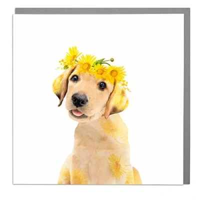 Image of Lola Design Wildlife Botanical Greeting Card Blank and Envelope Golden Labrador