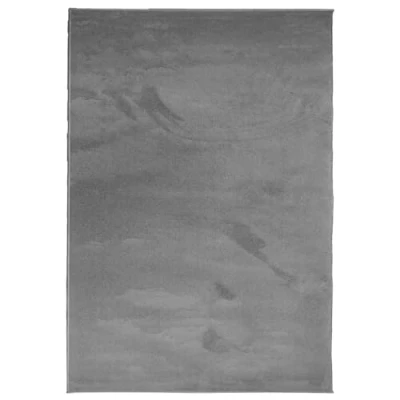 Image of vidaXL Anthracite Rug OVIEDO Short Pile Soft Polyester Area Rug, 120x170 cm Dense Teddy Texture/Suitable for Underfloor Heating/OEKO TEX Standard 100
