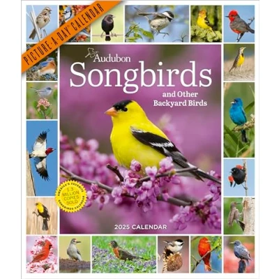 Image of Audubon Songbirds and Other Backyard Birds Picture A Day® Wall Calendar 2025