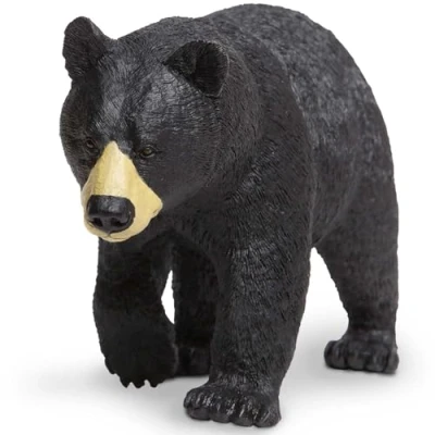 Image of Black Bear