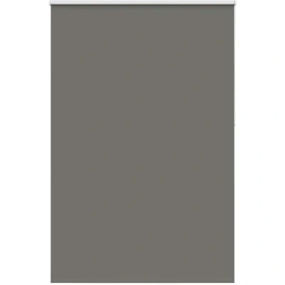 Image of vidaXL Roller Blind Blackout Grey 165x210 cm Fabric Width 161.6 Polyester